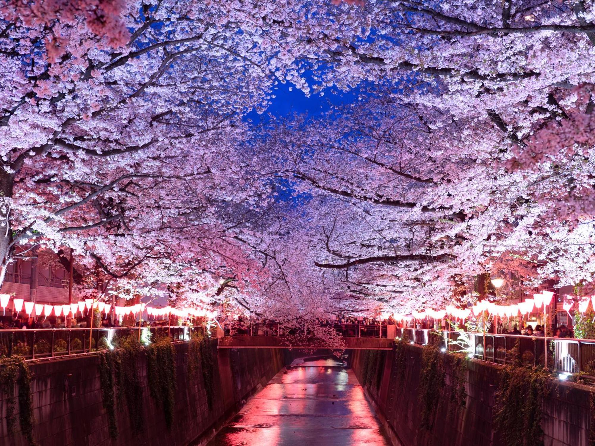 The Westin Präfektur Tokio